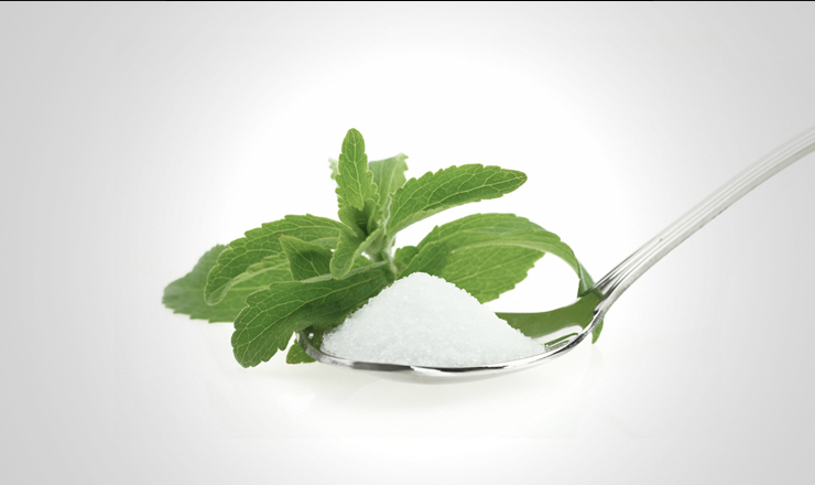 stevia 3
