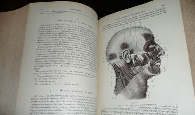 Biblioteca medica 3