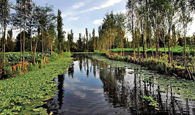 unamXOCHIMILCO2