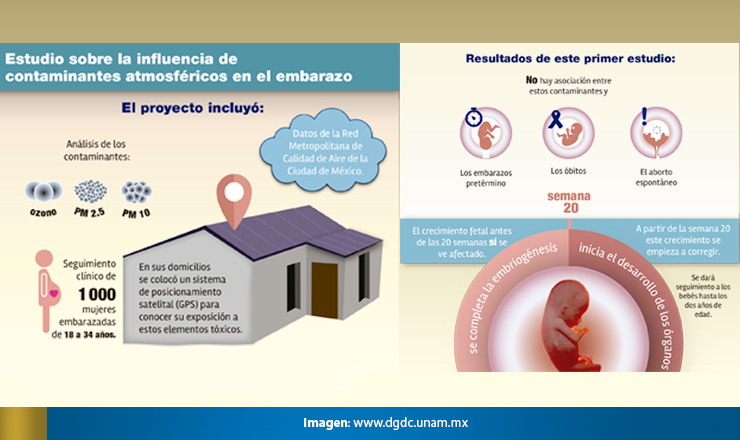 contaminacionfetos5