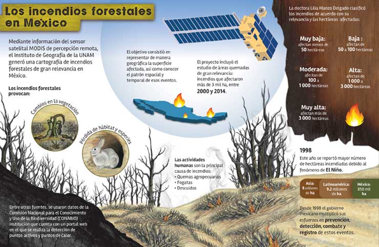 incendioforestal3