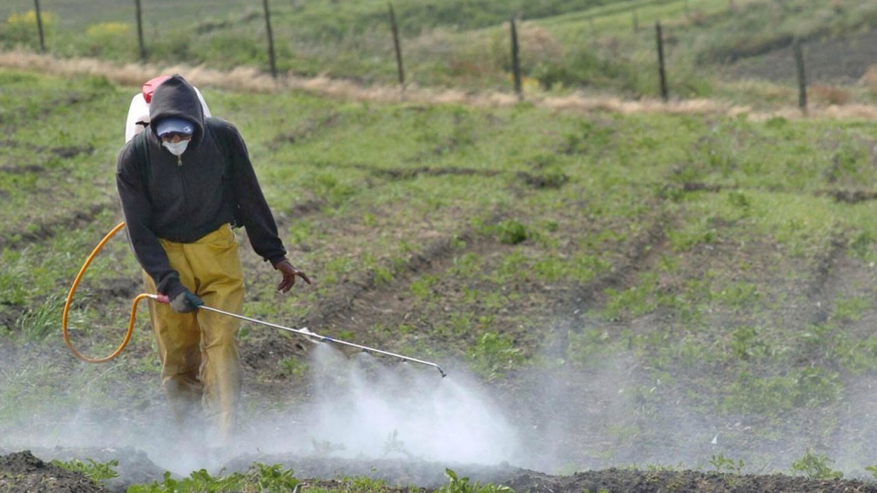 biofertilizantes_contenido2