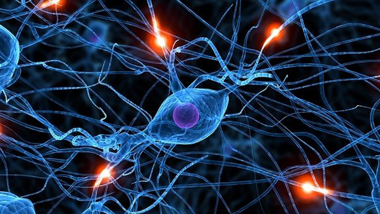 parkinson_contenido2
