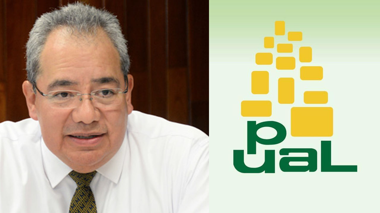 pual_contenido1