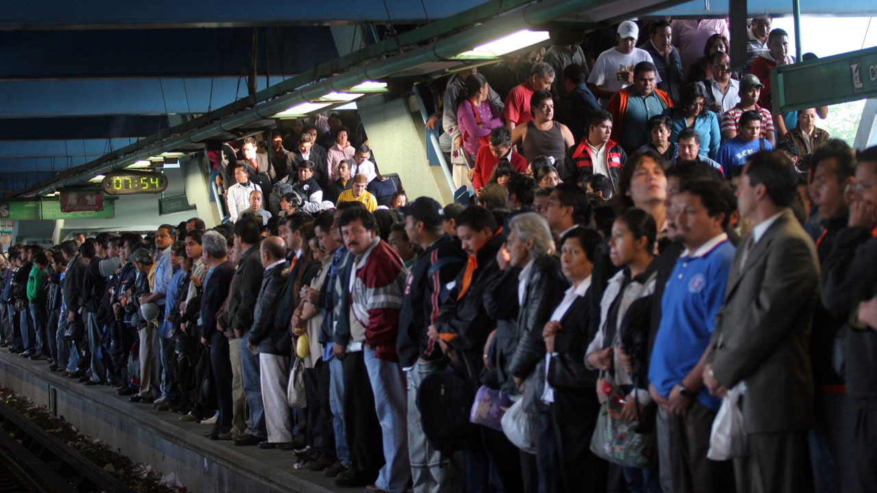 transporte_contenido1