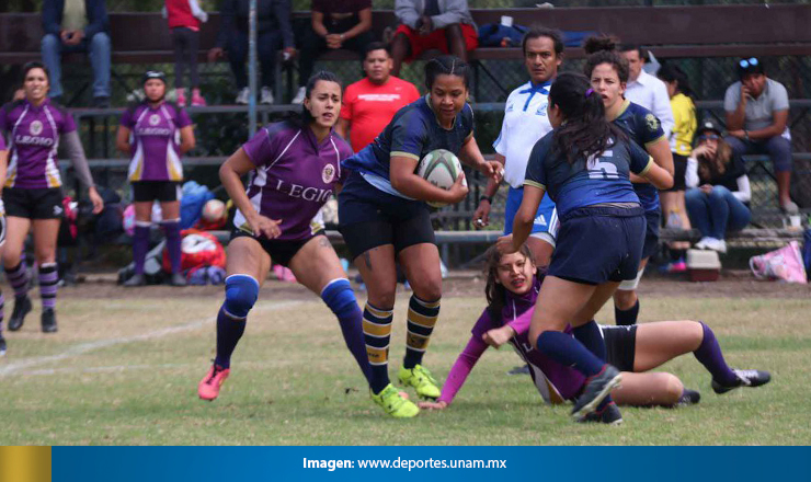 PUMASRUGBY3