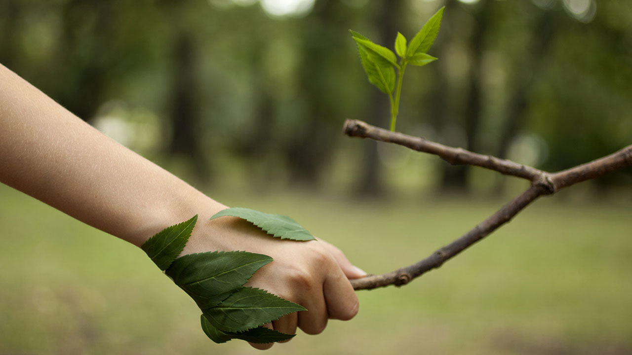 ambiental_contenido2