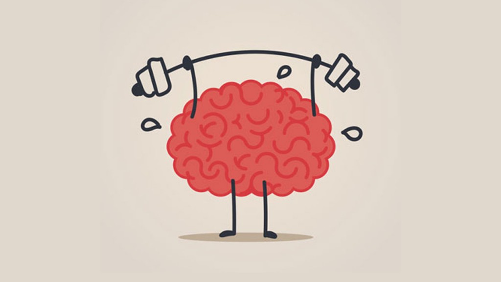 cerebro_contenido2