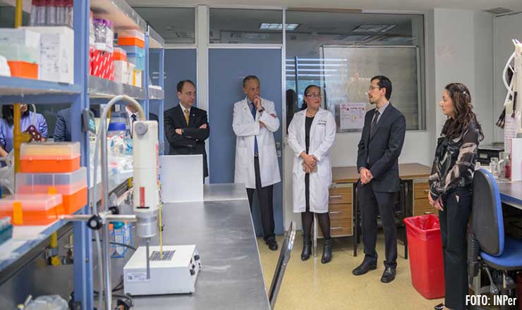 investigacionREPRODUCCION3
