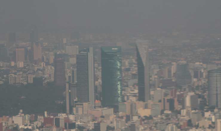 ambienteREPRODUCCION3