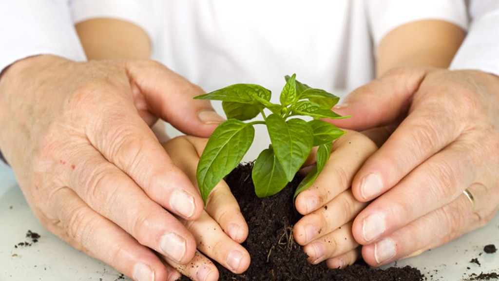 ambiental_contenido1