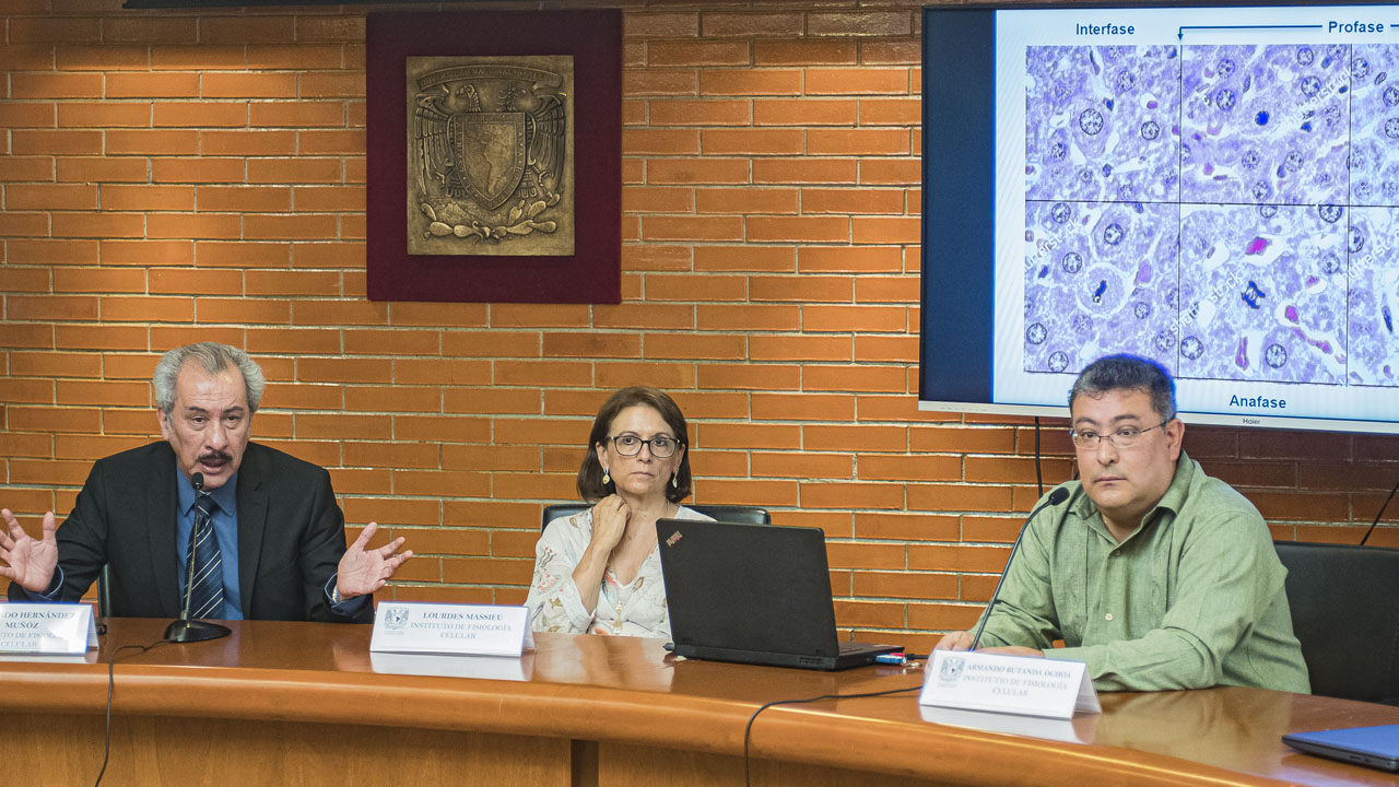 patente_contenido1