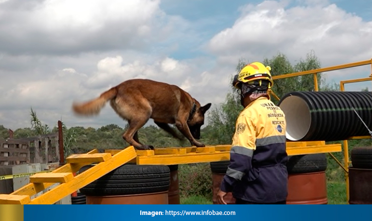 BACO3